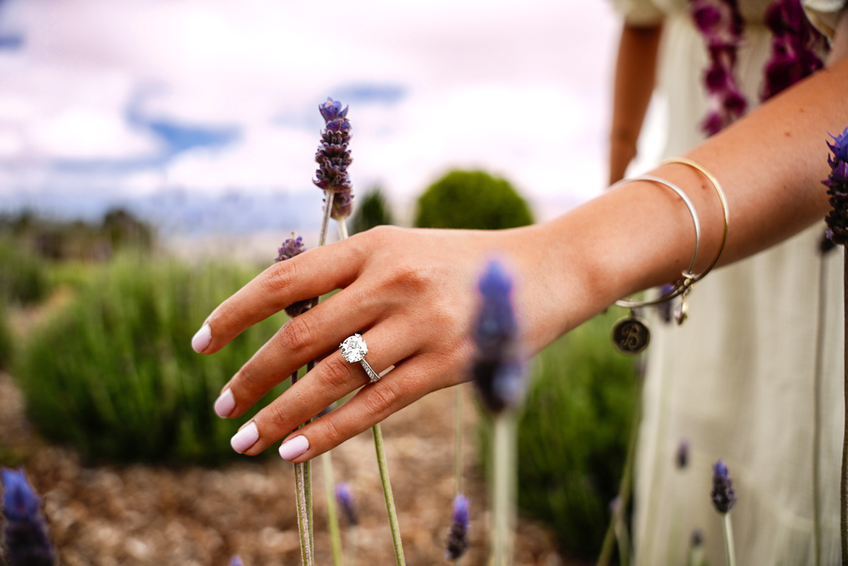 Detail ring and lavender photo flowers